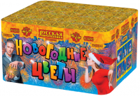 Новогодние цветы Фейерверк купить в Приморске Ленинградской области | primorskleningradskaya.salutsklad.ru