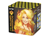 С огоньком! Фейерверк купить в Приморске Ленинградской области | primorskleningradskaya.salutsklad.ru