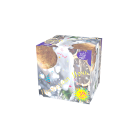 Новогодняя ночь Салют купить в Приморске Ленинградской области | primorskleningradskaya.salutsklad.ru