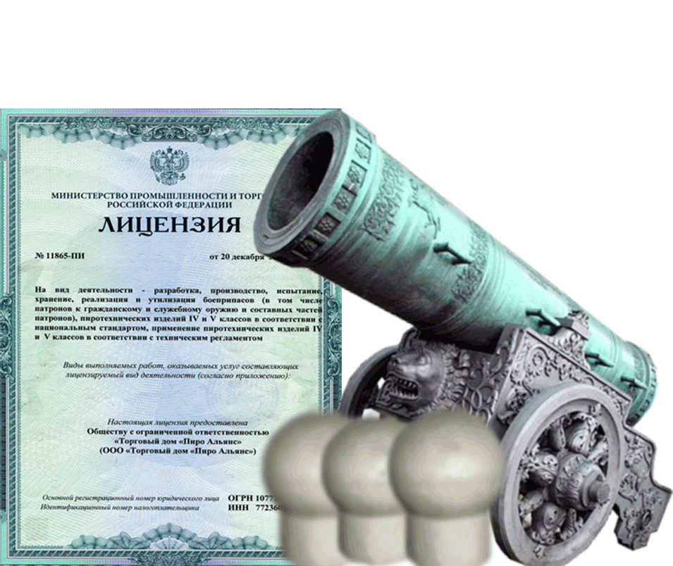 Заказать фейерверк на Новый Год - салют в Приморске Ленинградской области