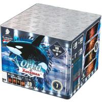 Косатка Фейерверк купить в Приморске Ленинградской области | primorskleningradskaya.salutsklad.ru