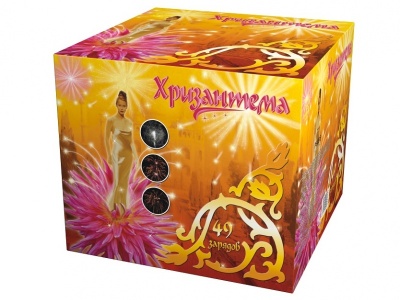 Хризантема Салют купить в Приморске Ленинградской области | primorskleningradskaya.salutsklad.ru