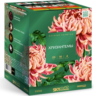 Хризантемы Фейерверк купить в Приморске Ленинградской области | primorskleningradskaya.salutsklad.ru