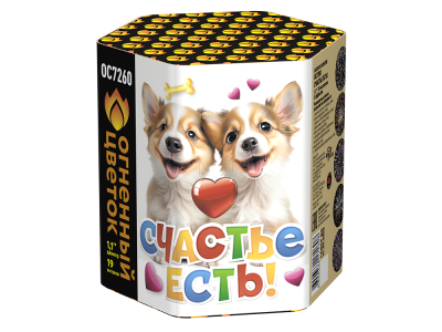 Счастье есть! Салют купить в Приморске Ленинградской области | primorskleningradskaya.salutsklad.ru